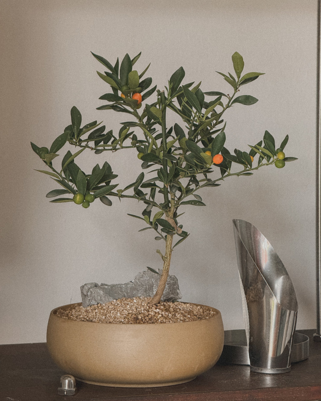 Lucky Kinkan in round pot