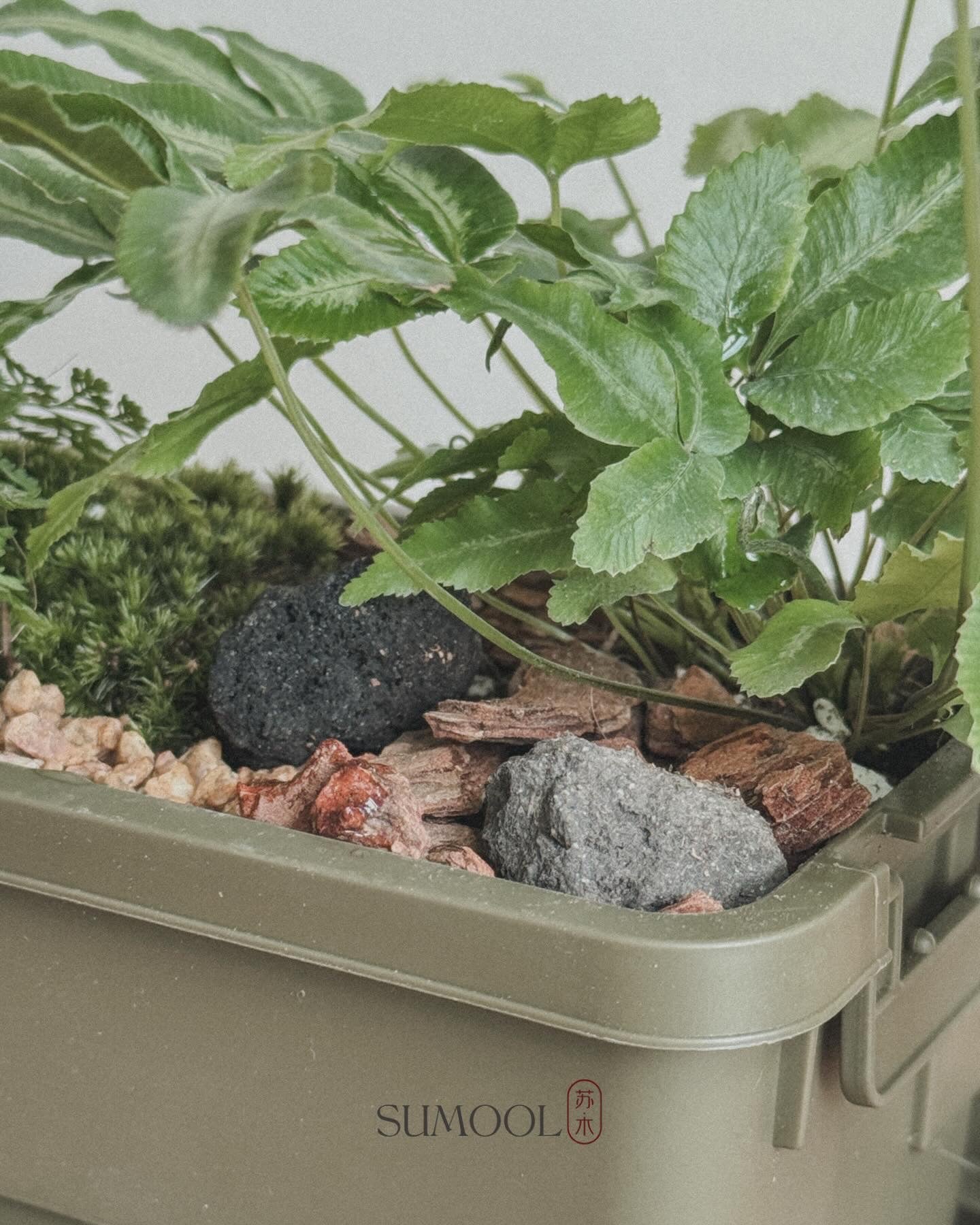 sumool forest crate 01