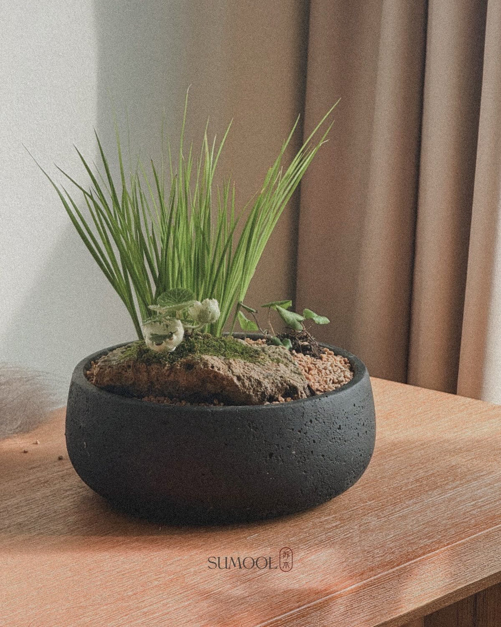 Little Mountain