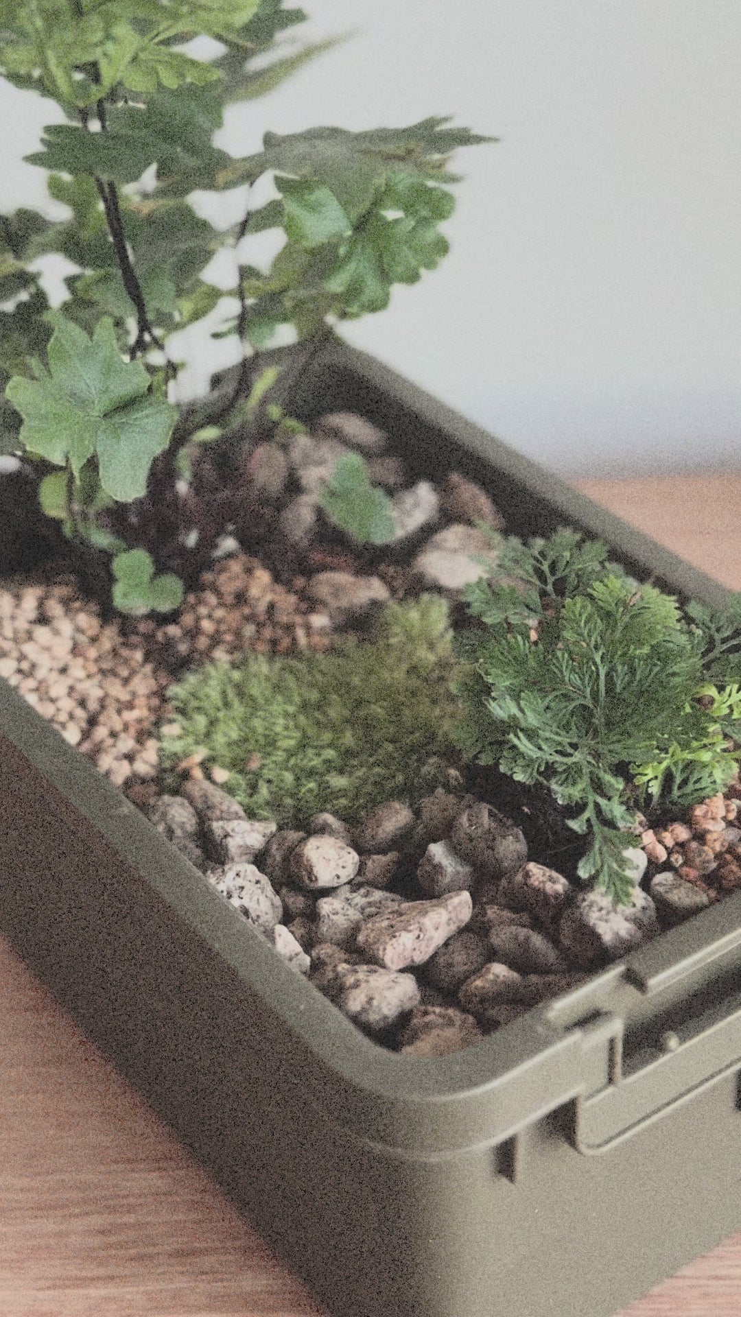 sumool forest crate 02